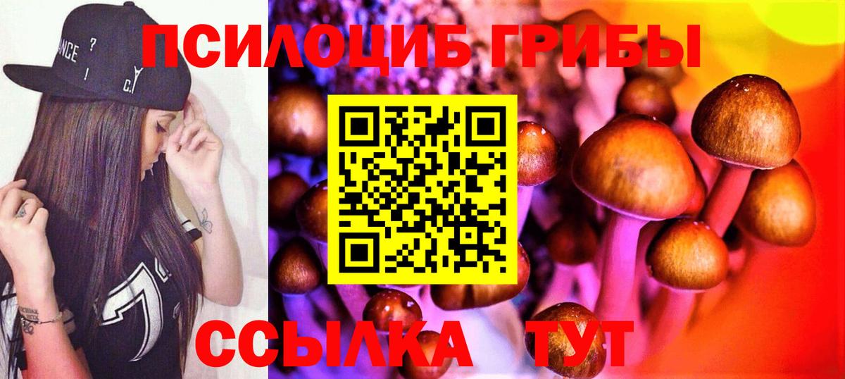Галлюциногенные грибы ЛСД Коммунар